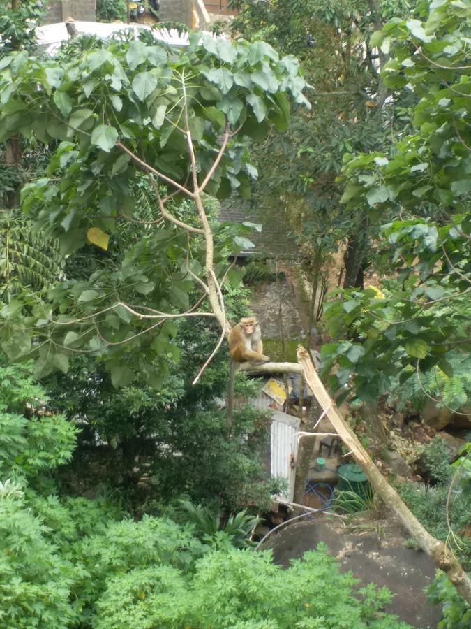 Kandy Dilruk Homestay Dış mekan fotoğraf